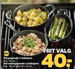 Netto Stegepande i støbejern eller Serveringspande i støbejern tilbud