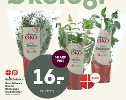 SPAR Grøn Balance Danske Økologiske Krydderurter tilbud
