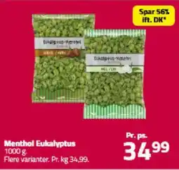 Fleggaard Menthol eukalyptus tilbud