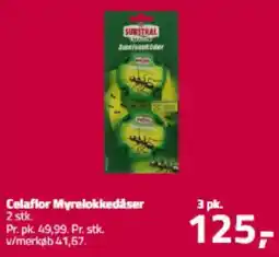Fleggaard Celaflor myrelokkedåser tilbud