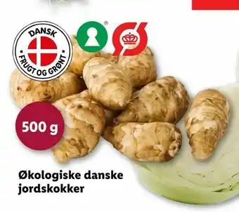 Økologiske danske jordskokker