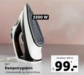 Dampstrygejern