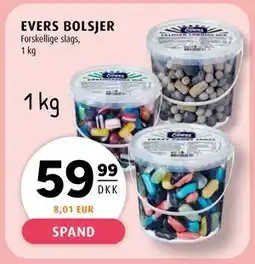 Scandinavian Park EVERS BOLSJER tilbud