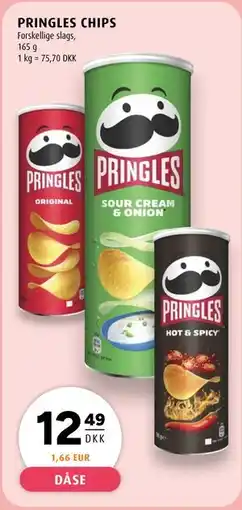 Scandinavian Park PRINGLES CHIPS tilbud