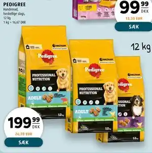 Scandinavian Park PEDIGREE tilbud