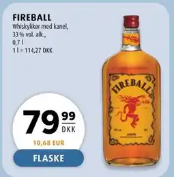 Scandinavian Park FIREBALL tilbud