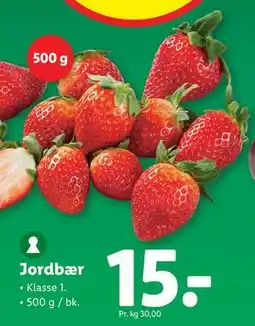 Lidl Jordbær tilbud