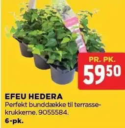 jem & fix EFEU HEDERA tilbud