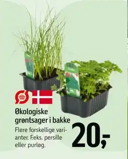 Føtex Økologiske grøntsager i bakke tilbud