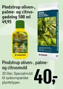 Føtex Pindstrup oliven-, palme- og citrusmuld tilbud