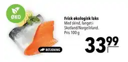 Citti Frisk økologisk laks tilbud