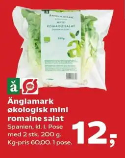 Kvickly Änglamark økologisk mini romaine salat tilbud