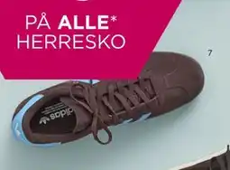 Salling ADIDAS tilbud