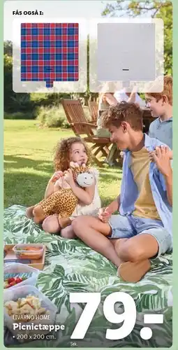 Lidl Picnictæppe tilbud