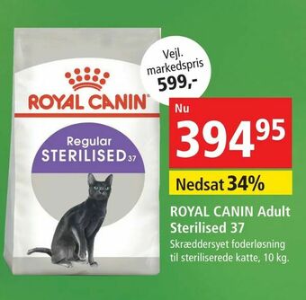 Maxi Zoo ROYAL CANIN Adult Sterilised 37 tilbud