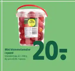 Coop 365 Mini blommetomater ispand tilbud