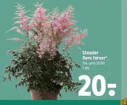 Coop 365 Stauder flere farver tilbud