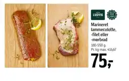 Føtex Marineret lammeculotte, -filet eller -mørbrad tilbud
