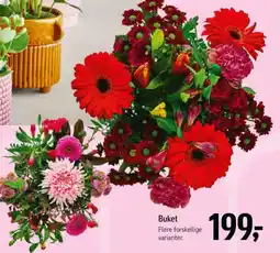 Føtex Buket Flere forskellige varianter. tilbud