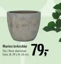 Føtex Marino lerkrukke tilbud