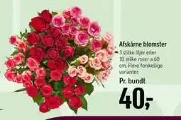 Føtex Afskårne blomster tilbud