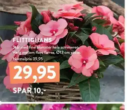 Plantorama FLITTIGHANS tilbud