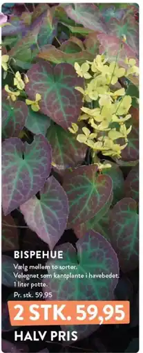 Plantorama BISPEHUE tilbud
