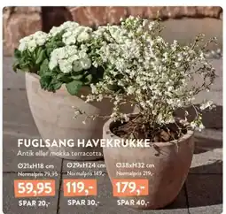 Plantorama FUGLSANG HAVEKRUKKE tilbud