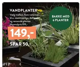 Plantorama VANDPLANTER tilbud