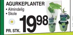 ABC Lavpris AGURKEPLANTER tilbud