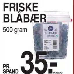 ABC Lavpris FRISKE BLÅBÆR 500 gram tilbud