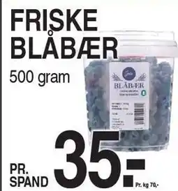 ABC Lavpris GESTUS FRISKE BLÅBÆR tilbud