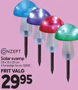 Din Isenkræmmer Conzept Solar svamp tilbud