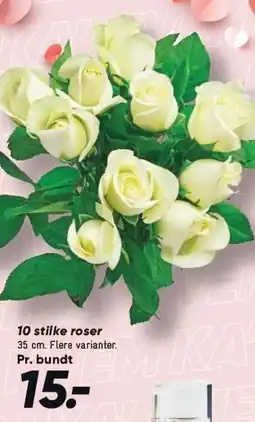 Bilka 10 stilke roser tilbud