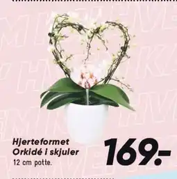 Bilka Hjerteformet Orkidé i skjuler tilbud
