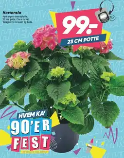 Bilka Hortensia tilbud