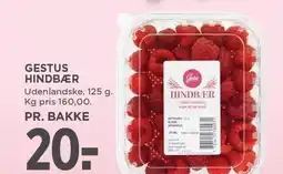 MENY GESTUS HINDBÆR tilbud