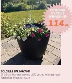 Daells Bolighus SOLCELLE SPRINGVAND tilbud