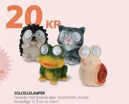 Daells Bolighus SOLCELLELAMPER tilbud