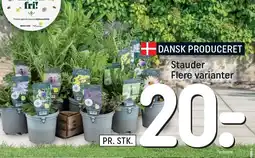 REMA 1000 Stauder Flere varianter tilbud
