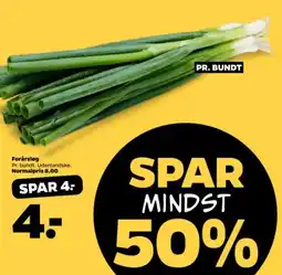 Netto Forårsløg tilbud