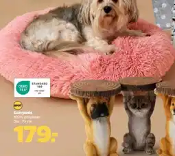 Netto Gulvpude tilbud