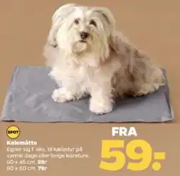 Netto Kolemåtte tilbud