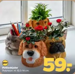 Netto Potteskjuler tilbud