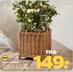 Netto Kurv i pileflet tilbud