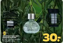 Netto Solcellelanterne eller lanterne med LED tilbud