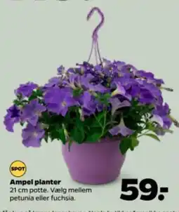 Netto Ampel planter tilbud