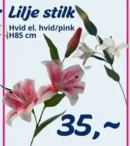Hi five Lilje stilk tilbud