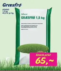 Hi five Græsfrø tilbud