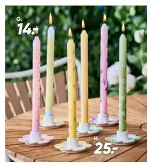 Bilka Blomsterstage tilbud